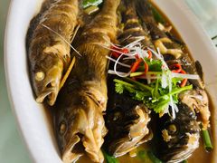-鸿运美食府