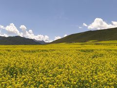-扁都口生态休闲旅游区