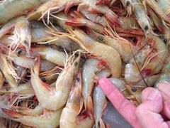 长青路覃记海鲜炒菜烧烤(四川重庆)-覃记海鲜美食餐厅