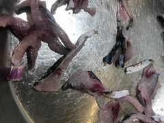 -丰尔粥食·粥底火锅·桑拿鸡(大良总店)