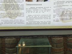 -千年银杏谷文化旅游区