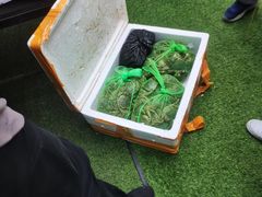 螃蟹-小象钓虾·营地烧烤(洛溪店)