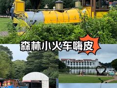 -济州森林小火车生态公园