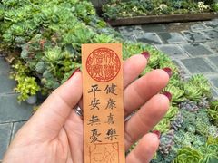-苍山感通索道