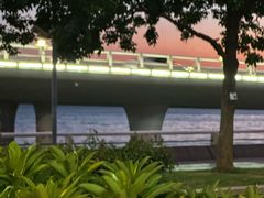-演武大桥观景平台
