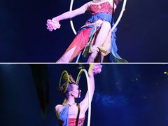 -正佳雨林生态植物园