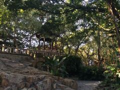 -乌山风景区