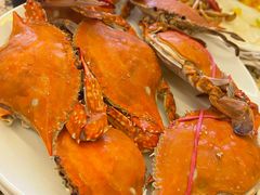 -禾斗海鲜自助(市南银座店)