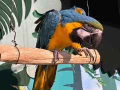 -萌宠奇缘(荣鼎店)