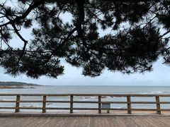 -青岛第二海水浴场