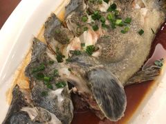 清蒸龙胆-梅园酒店餐厅(西湖店)