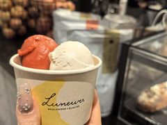 -LUNEURS月乐诗·法式冰淇淋(环贸店)