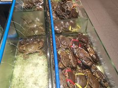 -Isla Sugbu Seafood City