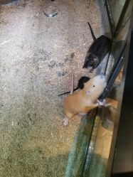 -酷嗒动物文化乐园(cutezoo西溪乐天城店)