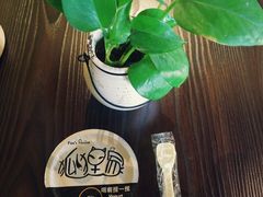 -狐狸家·酸奶酪专门店(平江路店)
