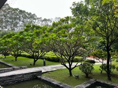 -南宁荔园维景国际酒店·荔园中餐厅