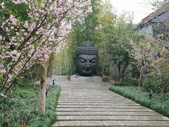 -杭州植物园