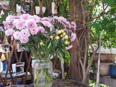 -八珍手工水饺·妈妈的爱(传芳巷店)