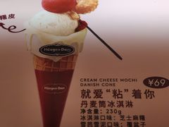 -哈根达斯(西安北郊店)