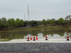 -王借岗森林公园
