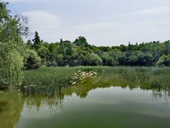 -上海吴淞炮台湾国家湿地公园