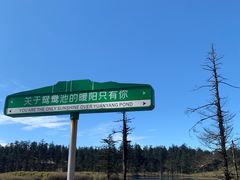 -瓦屋山景区