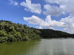 -李小龙乐园(顺德均安店)