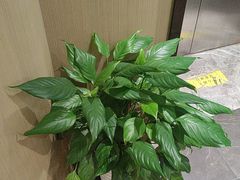 -南京君和堂中医门诊部