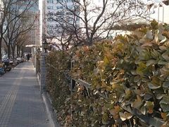 -北京地坛口腔门诊部