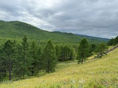 -莫尔道嘎国家森林公园