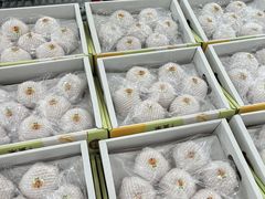 -诚实果品批发行(三星路店)