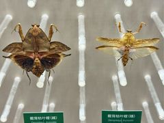 -国家自然博物馆