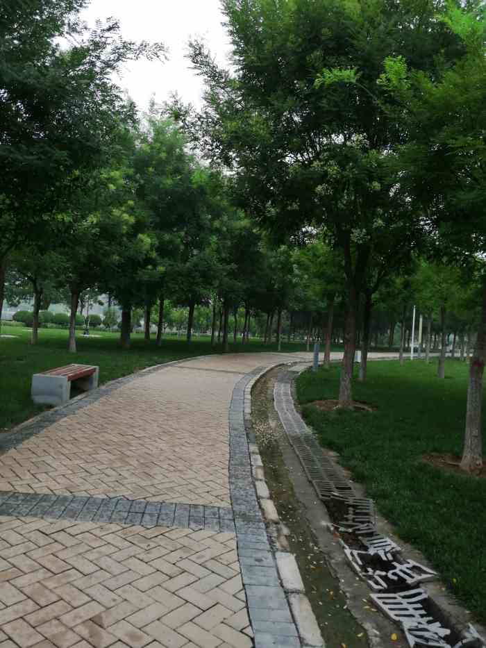 锦和公园-"完美的一天 晒太阳暖洋洋 感觉这个春天."-大众点评移动版