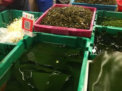-白沙菜市场