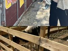 -珠海圆明新园