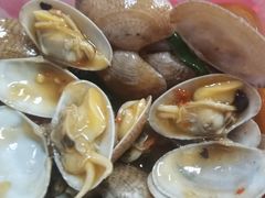 -蛇口康乐快餐鱼仔档(翠苑小区店)
