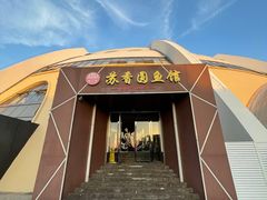 -丁老爷子苏香圆