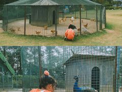 -前小桔亲子创意农场·草莓采摘·露营烧烤