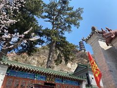 -圣莲山风景区