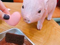 -WHEN PIGS FLY当猪飞