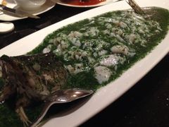 荠菜桂鱼-福1039(愚园路店)