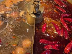 -小龙翻大江文化火锅(宽窄店)