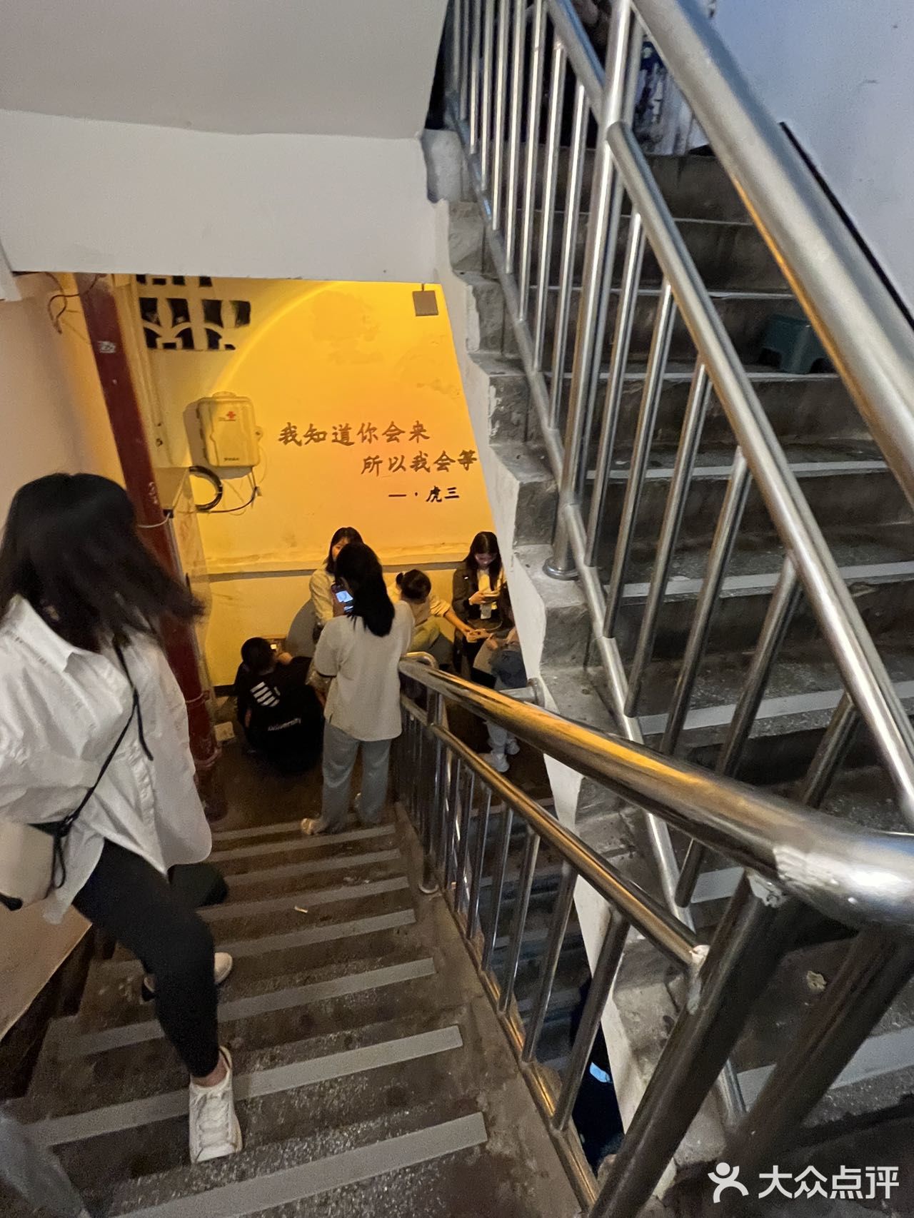 一边吃火锅，一边撸猫是种什么体验！