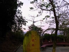 -火炉山森林公园
