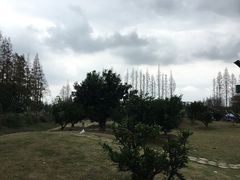 -上海长兴岛郊野公园