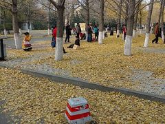 android_upload_pic-辽宁大学(崇山校区)