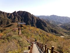 -大岭沟猕猴桃谷风景区