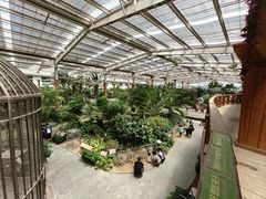 -南宫五洲植物乐园