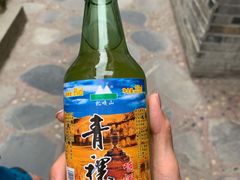 -乳仔牛牦牛汤锅 烤羊排(松潘古城店)