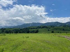 -新疆那拉提国家旅游度假区